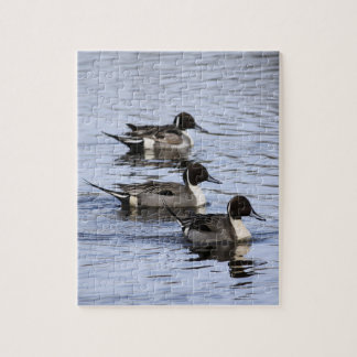 Pintail Ente Trio Jigsaw Puzzle
