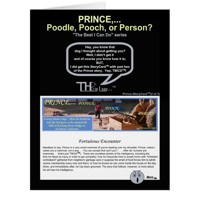 Pinte. Prince 2… Caniche, cabot, ou personne (Devant)