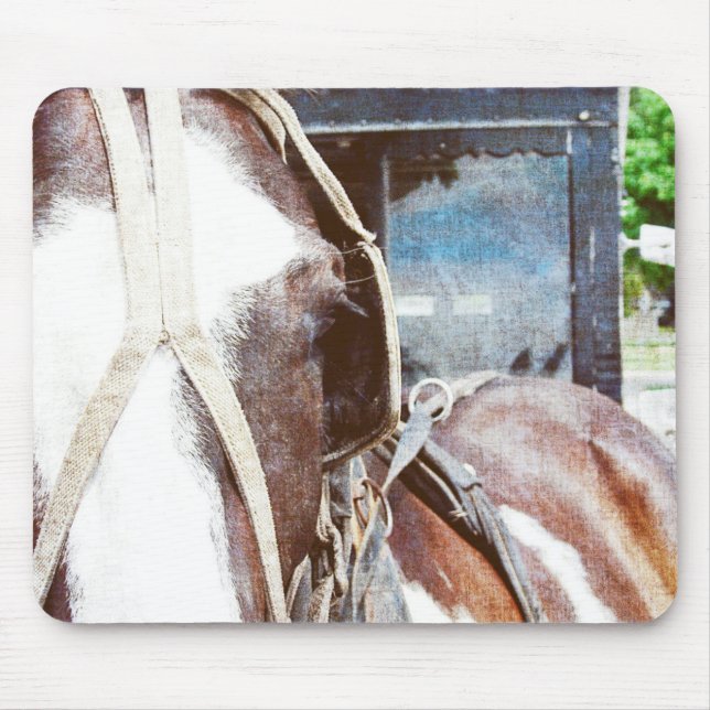 Pinto Amish Buggy Pferd Mousepad (Vorne)