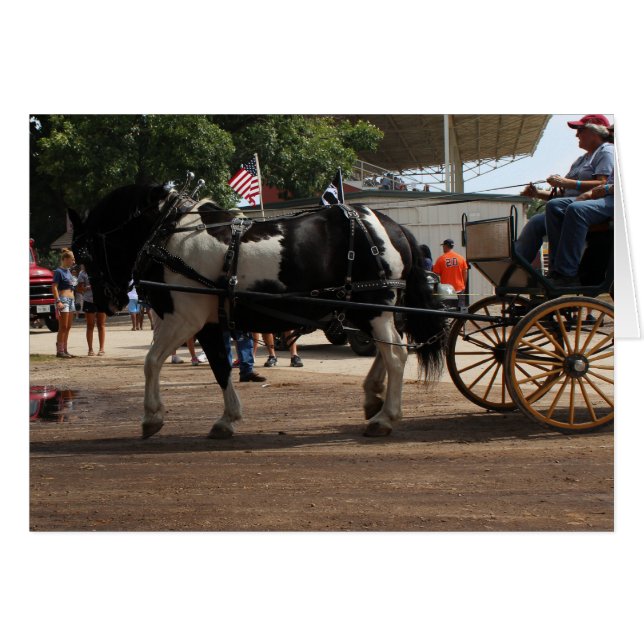Pinto Draft Horse 2018 Mt. Pleasant, Iowa (Vorderseite (Horizontal))