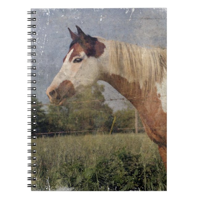Pinto Horse Grunge Notizblock (Vorderseite)