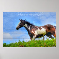 Pinto Paint & Clouds Ranch Pferd w Poem Foto