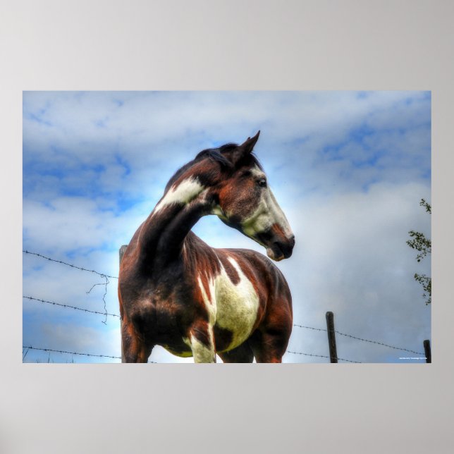 Pinto Paint & Clouds Ranch Reitpferde Foto Poster (Vorne)