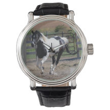 Pinto Paint Horse