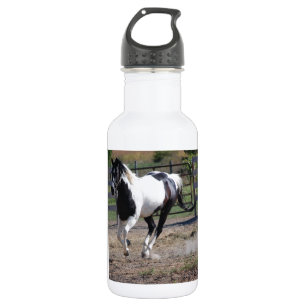 Pinto Paint Horse Edelstahlflasche