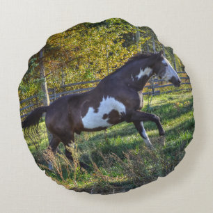 Pinto Paint Stallion auf einer Pferderasse laufen Rundes Kissen