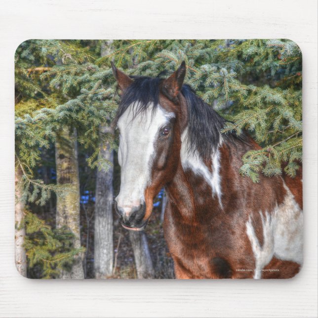 Pinto Paint Stallion & Evergreen Trees Mousepad (Vorne)