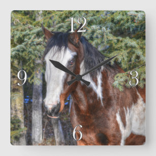 Pinto Paint Stallion & Evergreen Trees Quadratische Wanduhr