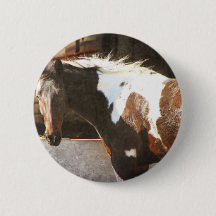 Pinto-Pferd Button