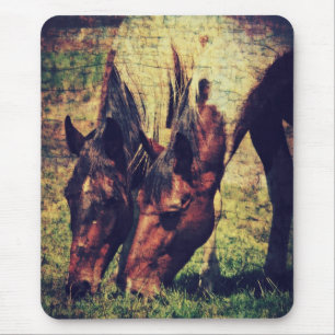 Pinto Pferde Mousepad