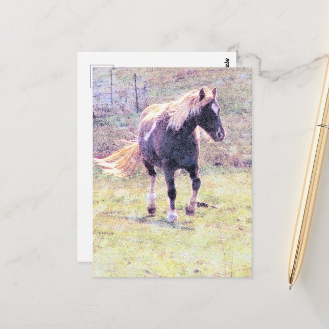 Pinto Pony Postkarte (Vorderseite/Rückseite Beispiel)