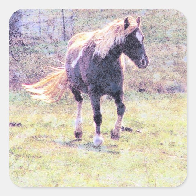 Pinto Pony Quadratischer Aufkleber (Vorderseite)