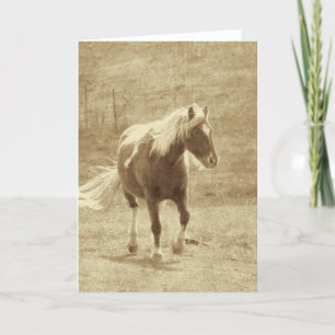 Pinto Pony Sepia Karte