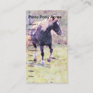 Pinto Pony Visitenkarte