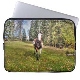 Pinto Ranch Pferd läuft in einem bewaldeten Feld Laptopschutzhülle