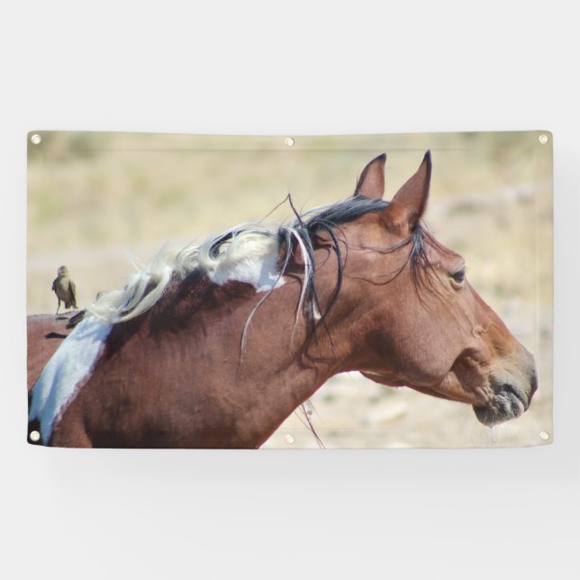PINTO SAUVAGE AVEC BANNIÈRE D'OISEAU À GROMMET (Horizontal)