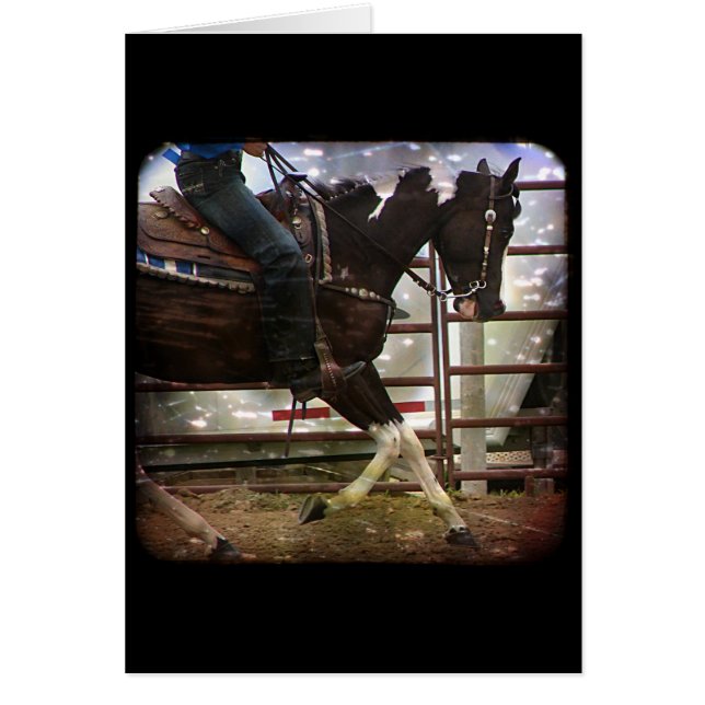 Pinto Western (Devant)