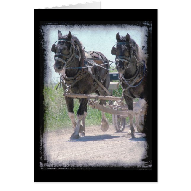 Pintos de travail (Devant)