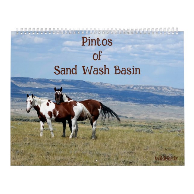 Pintos du calendrier du bassin de lavage de sable (Protection)