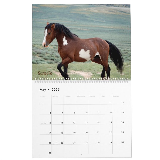 Pintos of Sand Wash Becken Calendar Kalender (Mai 2026)