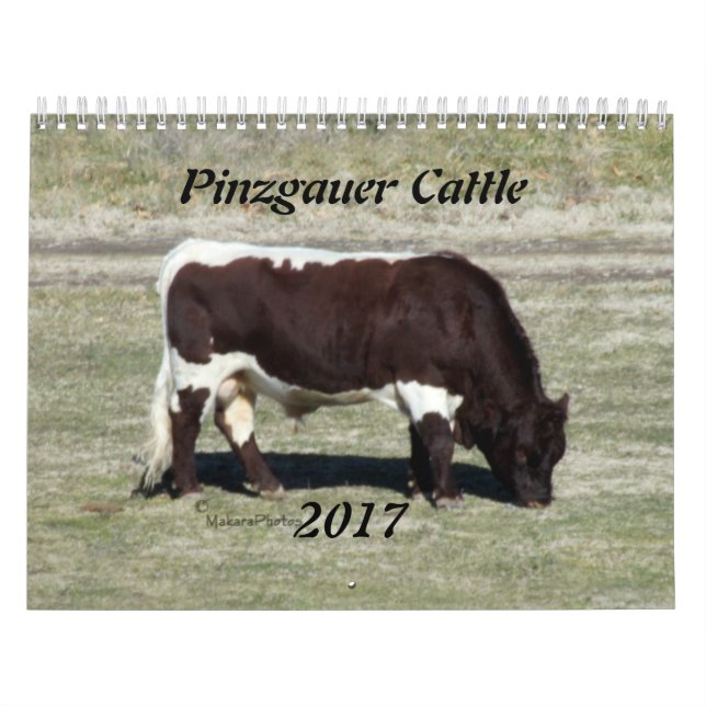 Pinzgauer Kalender-Änderung Jahr 2017, wie Kalender (Titelbild)
