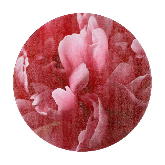 Pion blüht Macro, rosa rot. Schneidebrett (Vorderseite)