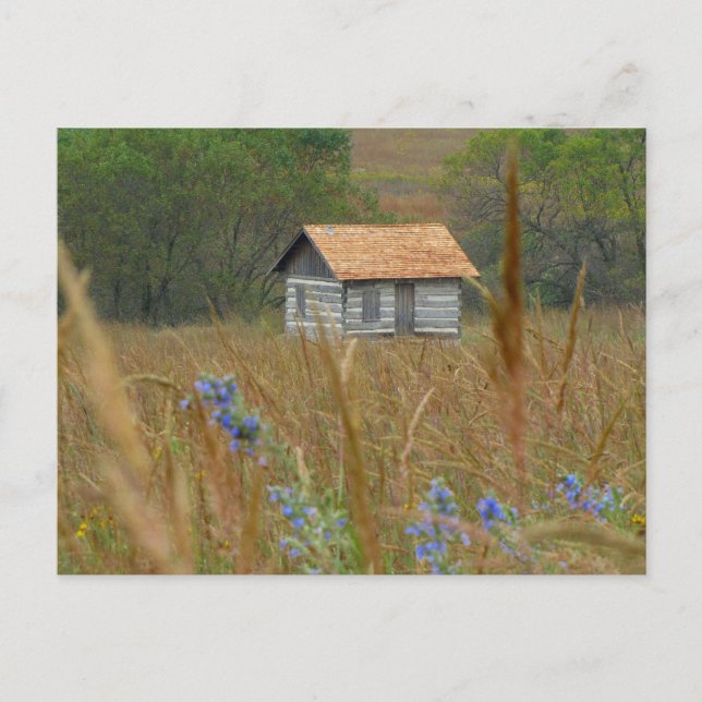 Pioneers Park Nature Centre Lincoln, NE 2NW Postkarte (Vorderseite)