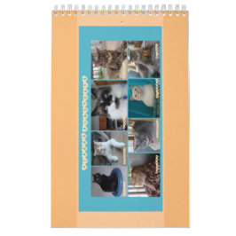 PipersPuddycats 2020 Kalender