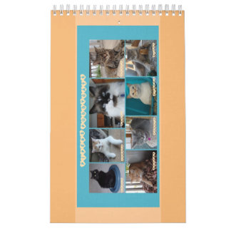 PipersPuddycats 2020 Kalender
