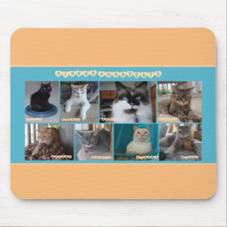 PipersPuddycats Mausunterlage Mousepad