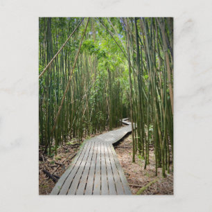 Pipiwai Trail, Haleakala Nationalpark, Maui Postkarte