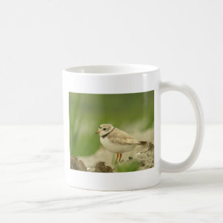 Pipng Regenpfeifer Kaffeetasse