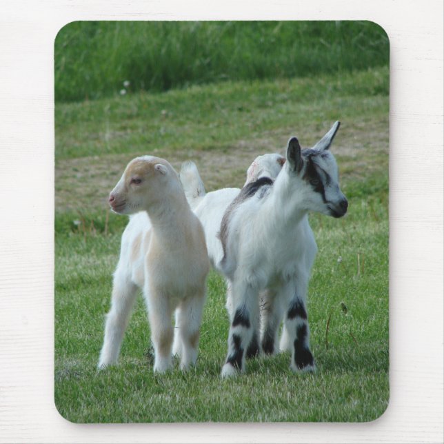 Pippi und Grau Mousepad (Vorne)