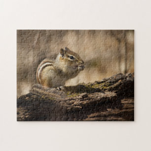 Pique-nique dans le puzzle Woods