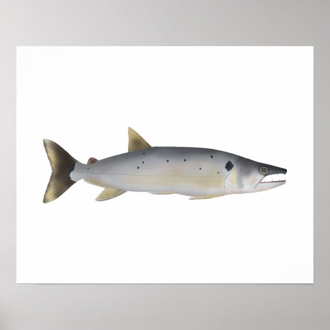 Pirá Yobua Poster (Vorne)