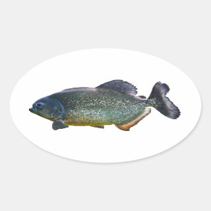 Piranha-Aufkleber Ovaler Aufkleber