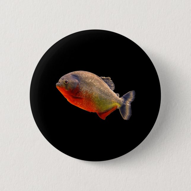 Piranha Red Bellied School of Piranhas Tropical Button (Vorderseite)