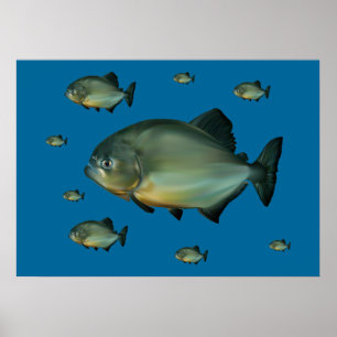 Piranhas Poster