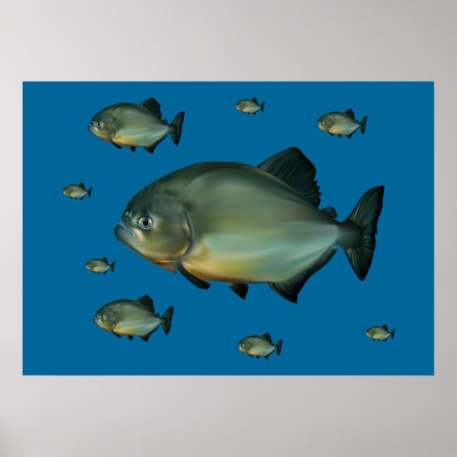Piranhas Poster (Vorne)