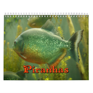 Piranhas-Wandkalender Kalender