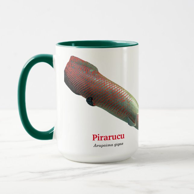 Pirarucu Tasse (Links)