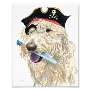 Pirat SahneLabradoodle Fotodruck