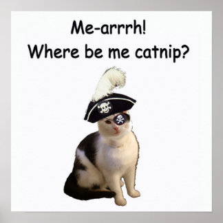 Pirate Cat Poster