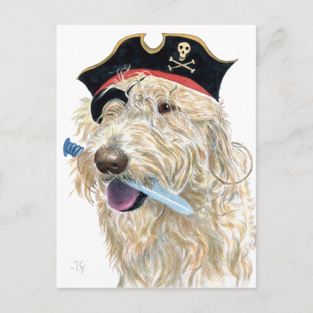 Pirate Cream Labradoodle Postkarte (Vorderseite)