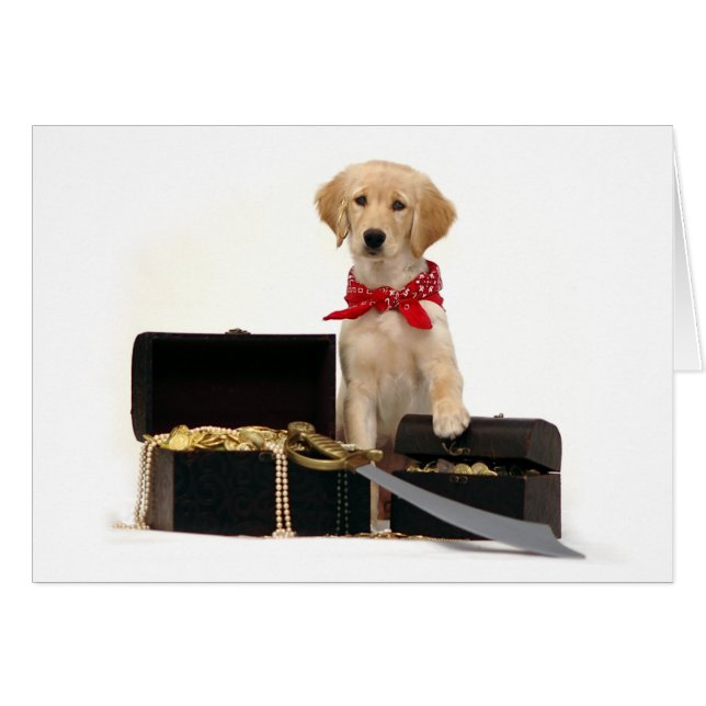 Pirate d'or de chiot (Devant horizontal)