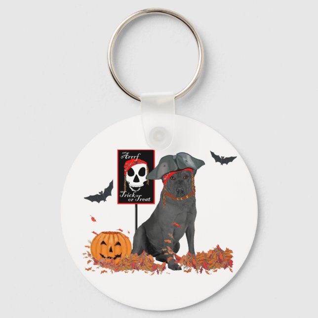 Pirate Schlüsselanhänger (Vorderseite)