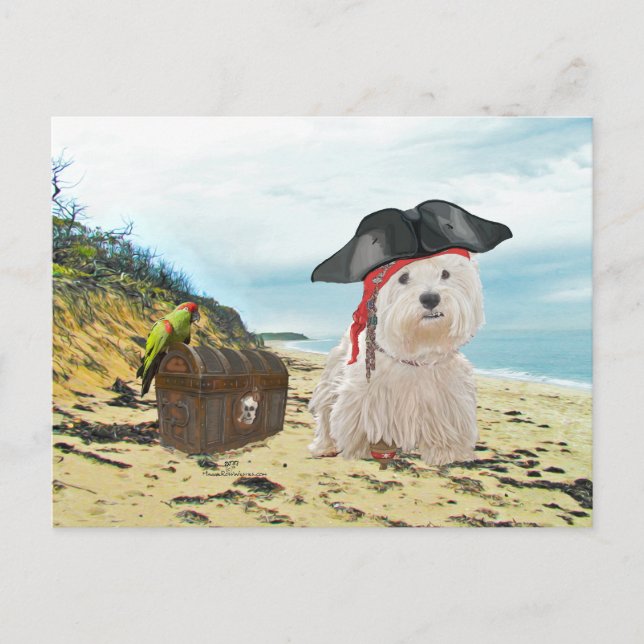 Pirate Westie Postkarte (Vorderseite)