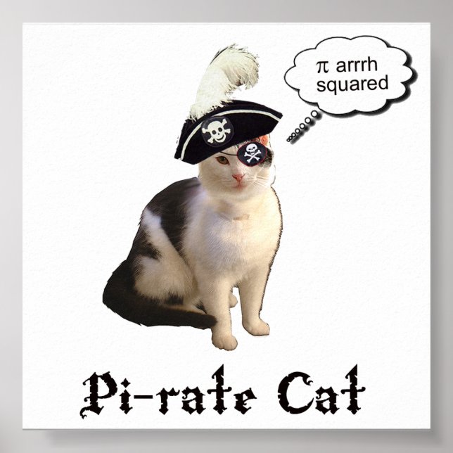 PiRateCat Poster (Vorne)