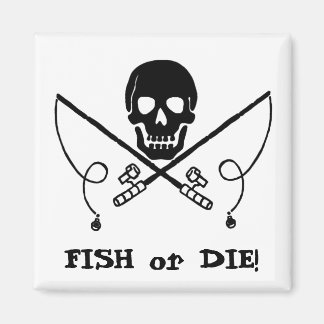 Piratenflagge Magnet