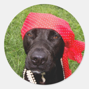 Piratenhund, schwarzes Labor, rotes Häckerhirschen Runder Aufkleber